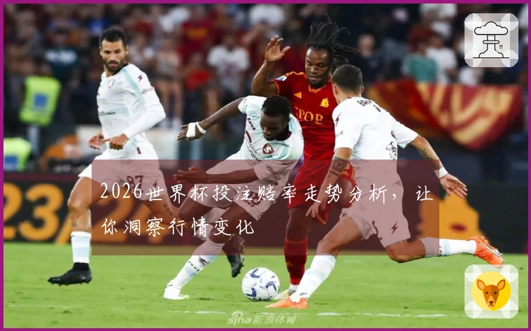 2026世界杯投注赔率走势分析，让你洞察行情变化