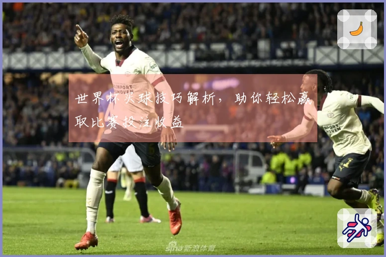 世界杯买球技巧解析，助你轻松赢取比赛投注收益