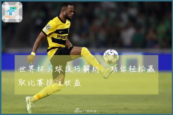 世界杯买球技巧解析，助你轻松赢取比赛投注收益