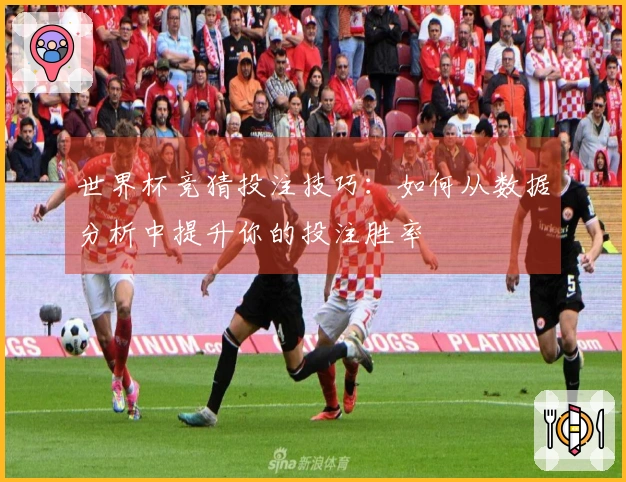 世界杯竞猜投注技巧：如何从数据分析中提升你的投注胜率
