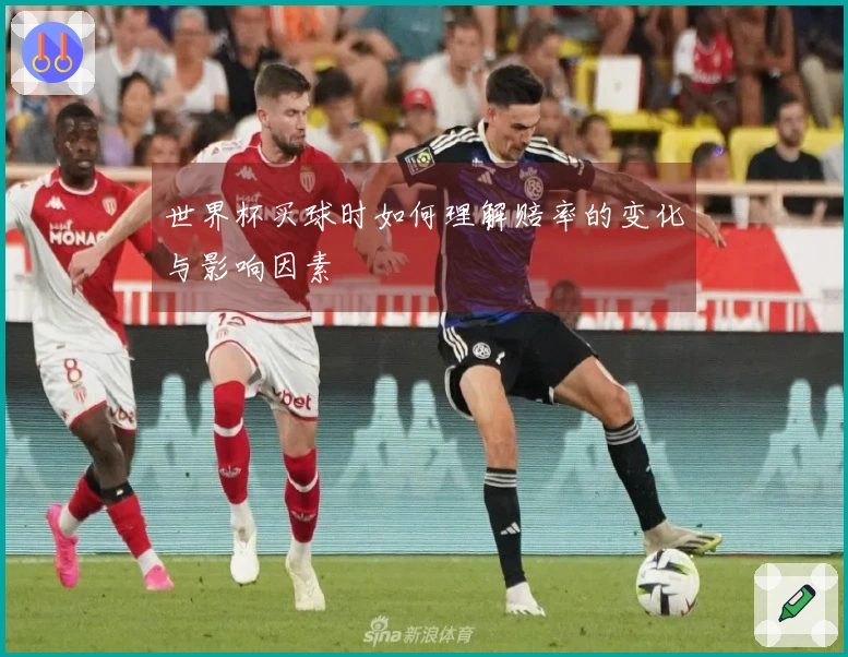 世界杯买球时如何理解赔率的变化与影响因素